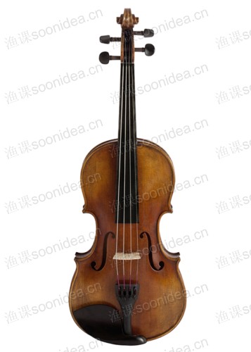 Vioin B Class 