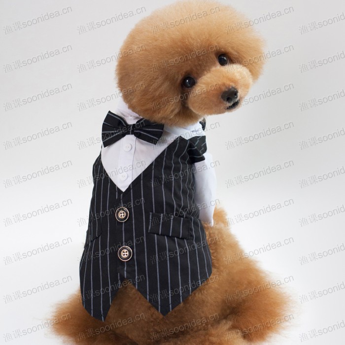Handsome Layered-look dog suit wholesale