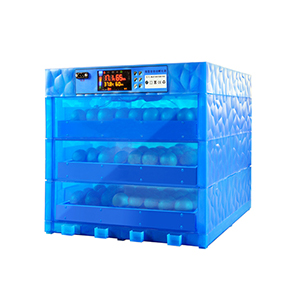 Blue incubator