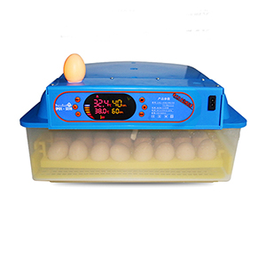 Convenient incubator