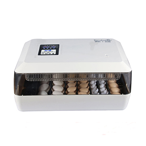 Single layer incubator