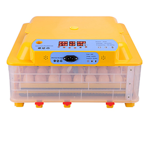 Yellow incubator
