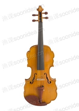 Viola
