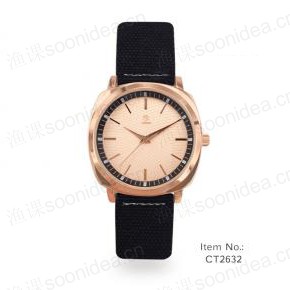 MENS WATCHES CT480-2